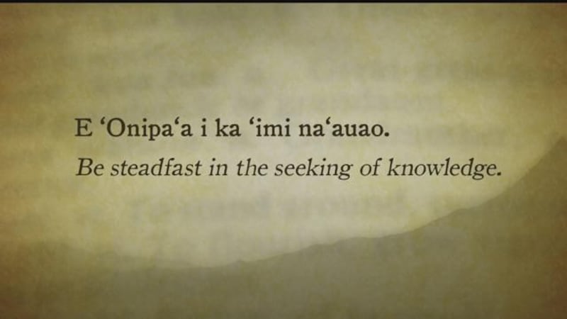 (Image: Hawaii News Now)